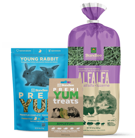 Food, Forage & Treat Bundles for Young Pet Rabbits